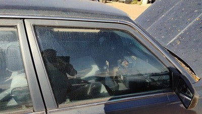 1983-86 Toyota Camry Passenger Right Front Side Window Door Glass Oem 6811132030