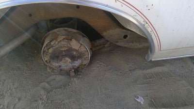 1978 Buick Regal Passenger Right Rear Wheel Moulding Oem