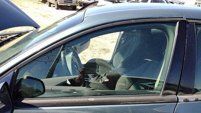 2004-08 Pontiac Grand Prix Driver Left Front Side Window Door Glass Oem 15932411