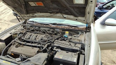 2000-2003 Nissan Maxima Pair Of Hood Hinges Right Left Set Assembly Oem Gold