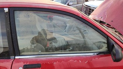 1994-1997 Ford Aspire Passenger Right Front Side Window Door Glass Oem