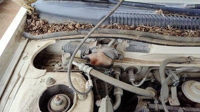 1991-1996 Infinity G20 Windshield Wiper Motor Oem 2881559J00