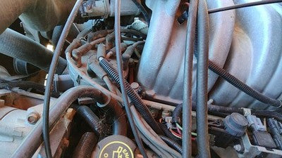 1985-1992 Ford F150 Ignition Distributor Oem 5.0l E5tz12127a