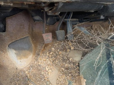 1984 Pontiac Sunbird Complete Clutch And Brake Pedal Assembly Oem