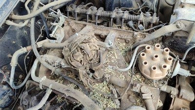 1964 Ford Thunderbird Coupe Intake Manifold Oem 390