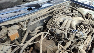 1994-1995 Nissan Pathfinder Cruise Control Servo Assembly Module With Cable Oem