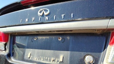 1999-2002 Infiniti G20 License Plate Trim Surround Panel Oem Tail Trunk Finish