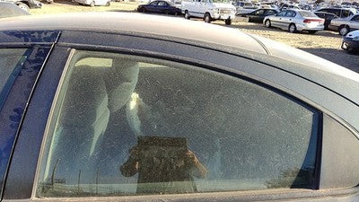 1998-2004 Dodge Intrepid Driver Left Rear Side Window Door Glass Oem Back