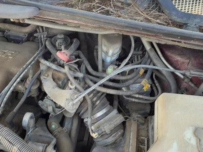 2001-2005 Chevy Venture Cruise Control Servo Assembly Module With Cable Oem