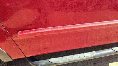 1999-2004 Ford F150 Driver Left Front Moulding From Door Oem Trim Strip Red E4