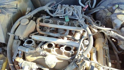 1998-1999 Buick Century Lower Intake Manifold Oem 3.1L 24506263