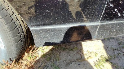 1989 Chevy Camaro Lh Driver Left Rear Moulding On Quarter Panel Oem Black