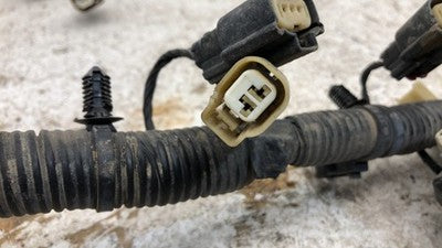 2012 Ford F150 Wiring Harness For Engine Oem 5.0L 4X2 Du5t12c508j4cp7