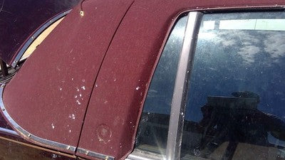 93 Cadillac Fleetwood Passenger Right Rear Vent Window Back Door Glass Wh Frame