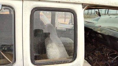 1971-1977 Dodge Van B200 Passenger Right Rear Side Window Door Glass Oem Front