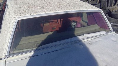 1978 Buick Regal Chrome Trim Surrounding Back Glass Rear Window Oem Moulding