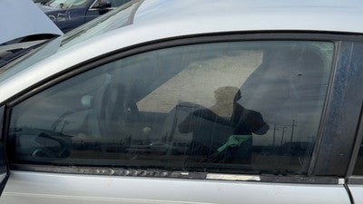 2003-2007 Saturn Ion Driver Left Front Side Window Door Glass Oem 22607301