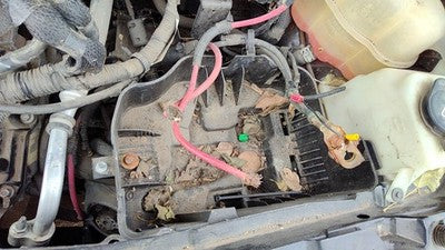 07-09 Grand Vitara Xl-7 Complete Battery Box Mount Tray With Hold Down Oem 3.6L