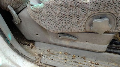 1999 Chevy Silverado 1500 Passenger Right Side Seat Trim Panel Oem Gray 92D