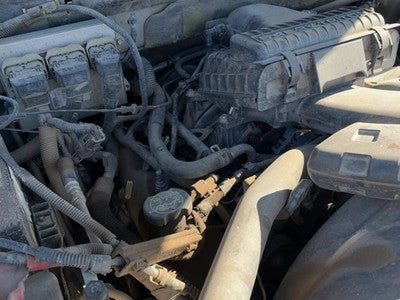 2004 Ford F150 Passenger Right Cylinder Head Assembly Oem 5.4L 3L3Z6049Ba