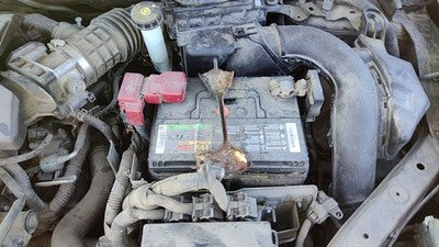 2016-2019 Nissan Sentra Complete Battery Box Mount Tray With Hold Down Oem 1.8L