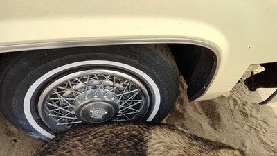 1980 Cadillac Deville Passenger Right Front Wheel Flare Moulding Oem Chrome Trim