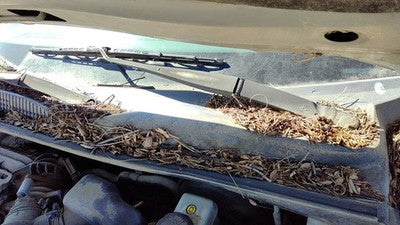 2006-2009 Hyundai Sonata Driver Left Windshield Wiper Arm Oem Blade Lever