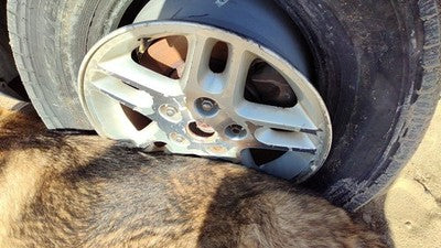 2002-2004 Jeep Grand Cherokee 16 Aluminum Wheel Oem Factory Rim 5 Spoke