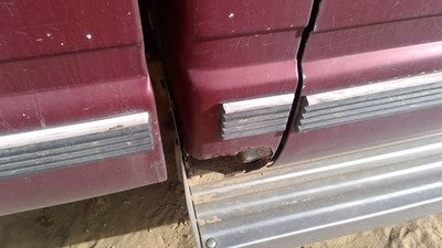 1988 Gmc Sierra 2500 Passenger Right Rear Moulding On Quarter Panel Oem Cab