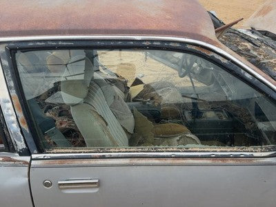 1982-1984 Pontiac Sunbird Passenger Right Front Side Window Door Glass Oem