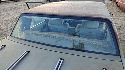 1982-1988 Pontiac 6000 Back Glass Rear Window Oem 10066825