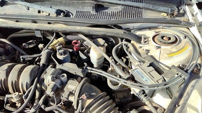 1999-2004 Buick Regal Cruise Control Servo Assembly Module With Cable Oem