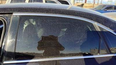 2012-2022 Vw Passat Driver Left Rear Side Window Door Glass Oem Back 561845025A