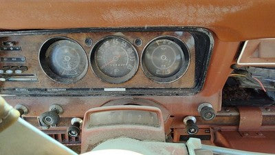 1984 Jeep Grand Wagoneer Speedometer Cluster Instrument Gauges Panel Oem Dash