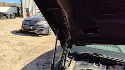 1982-1992 Chevy Camaro Driver Left Right Hood Hinge Pair Set Assembly Oem Black