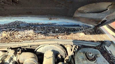 1991-2001 Saturn Sc2 Coupe Driver Left Windshield Wiper Arm Oem Blade Lever