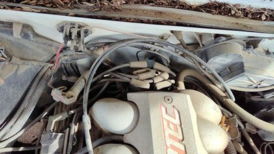 1988-1995 Chevy S10 Blazer Ignition Distributor Oem 4.3L 10472052