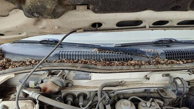 1991-1995 Infinity G20 Passenger Right Windshield Wiper Arm Oem Blade Lever