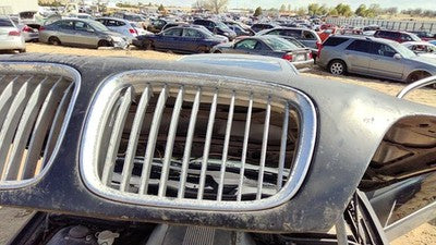 1997-1999 Bmw 540I Dirver Left Front Grille Assembly Oem 54138184531