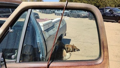 1978-1993 Dodge Ram W150 Driver Left Front Side Window Door Glass Oem 4160617