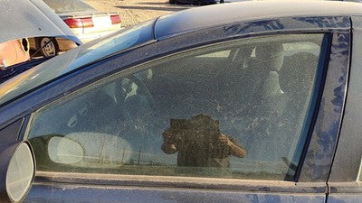 1998-2004 Dodge Intrepid Driver Left Front Side Window Door Glass Oem 04780231Af