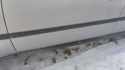 1996-2000 Honda Civic Driver Left Front Moulding From Door Oem Trim Strip