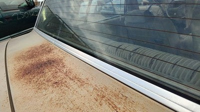 1981 Chevy Malibu Back Chrome Trim Around Window Surround Moulding Rear 4 Door