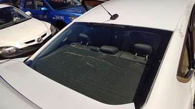 2013-2016 Ford Fusion Back Glass Rear Window Oem Ds7Z5442006B