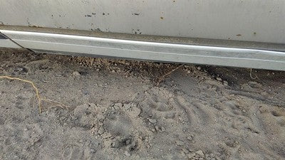 Chevy Caprice Driver Left Front Moulding From Door Oem Trim Strip 4 Door