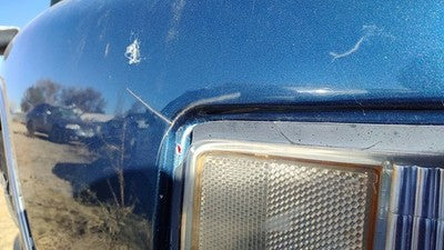 1988-1991 Olds Cutlass Cierra Passenger Right Front Fender Oem Blue 12398096