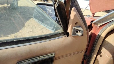 1985 Pontiac Sunbird Driver Left Door Trim Panel Manual Windows Oem Tan