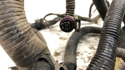 2005 Buick Rendezvous Wiring Harness For Engine Oem 3.6L