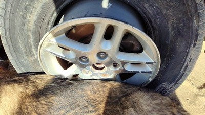 2002-2004 Jeep Grand Cherokee 16 Aluminum Wheel Oem Factory Rim 5 Spoke