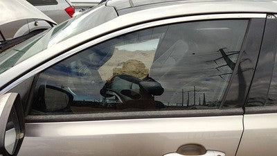 2011-2016 Kia Optima Sx Driver Left Front Side Window Door Glass Oem 824112T010
